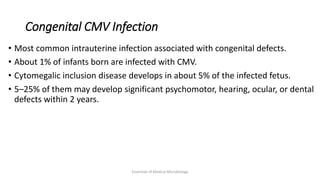 Congenital CMV Infection
• Most common intrauterine infection associated with congenital defects.
• About 1% of infants born are infected with CMV.
• Cytomegalic inclusion disease develops in about 5% of the infected fetus.
• 5–25% of them may develop significant psychomotor, hearing, ocular, or dental
defects within 2 years.
Essentials of Medical Microbiology
 