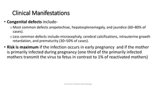 Clinical Manifestations
• Congenital defects include-
o Most common defects arepetechiae, hepatosplenomegaly, and jaundice (60–80% of
cases).
o Less common defects include-microcephaly, cerebral calcifications, intrauterine growth
retardation, and prematurity (30–50% of cases).
• Risk is maximum if the infection occurs in early pregnancy and if the mother
is primarily infected during pregnancy (one third of the primarily infected
mothers transmit the virus to fetus in contrast to 1% of reactivated mothers)
Essentials of Medical Microbiology
 