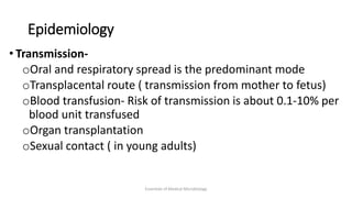 Epidemiology
• Transmission-
oOral and respiratory spread is the predominant mode
oTransplacental route ( transmission from mother to fetus)
oBlood transfusion- Risk of transmission is about 0.1-10% per
blood unit transfused
oOrgan transplantation
oSexual contact ( in young adults)
Essentials of Medical Microbiology
 