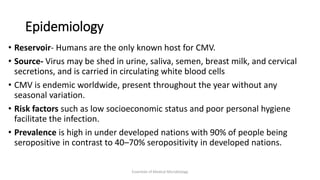 Epidemiology
• Reservoir- Humans are the only known host for CMV.
• Source- Virus may be shed in urine, saliva, semen, breast milk, and cervical
secretions, and is carried in circulating white blood cells
• CMV is endemic worldwide, present throughout the year without any
seasonal variation.
• Risk factors such as low socioeconomic status and poor personal hygiene
facilitate the infection.
• Prevalence is high in under developed nations with 90% of people being
seropositive in contrast to 40–70% seropositivity in developed nations.
Essentials of Medical Microbiology
 