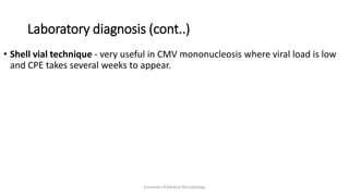 Laboratory diagnosis (cont..)
• Shell vial technique - very useful in CMV mononucleosis where viral load is low
and CPE takes several weeks to appear.
Essentials of Medical Microbiology
 