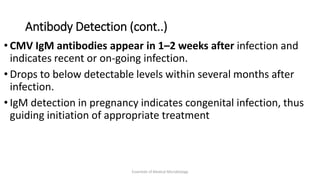 Antibody Detection (cont..)
• CMV IgM antibodies appear in 1–2 weeks after infection and
indicates recent or on-going infection.
• Drops to below detectable levels within several months after
infection.
• IgM detection in pregnancy indicates congenital infection, thus
guiding initiation of appropriate treatment
Essentials of Medical Microbiology
 