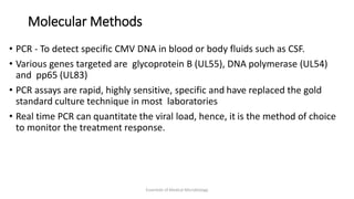 Molecular Methods
• PCR - To detect specific CMV DNA in blood or body fluids such as CSF.
• Various genes targeted are glycoprotein B (UL55), DNA polymerase (UL54)
and pp65 (UL83)
• PCR assays are rapid, highly sensitive, specific and have replaced the gold
standard culture technique in most laboratories
• Real time PCR can quantitate the viral load, hence, it is the method of choice
to monitor the treatment response.
Essentials of Medical Microbiology
 