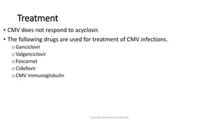 Treatment
• CMV does not respond to acyclovir.
• The following drugs are used for treatment of CMV infections.
o Ganciclovir
o Valganciclovir
o Foscarnet
o Cidofovir
o CMV immunoglobulin
Essentials of Medical Microbiology
 