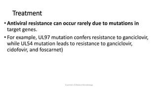 Treatment
• Antiviral resistance can occur rarely due to mutations in
target genes.
• For example, UL97 mutation confers resistance to ganciclovir,
while UL54 mutation leads to resistance to ganciclovir,
cidofovir, and foscarnet)
Essentials of Medical Microbiology
 