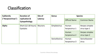 Classification
Subfamily
("Herpesvirinae")
Duration of
replication &
Cytopathology
Site of
Latency
Genus Species
Official Name Common Name
Alpha Short (12-18 hours)
Cytolytic
Neurons Simplexvirus Human
herpesvirus 1
Herpes simplex
virus type 1
Human
herpesvirus 2
Herpes simplex
virus type 2
Varicellovirus Human
herpesvirus 3
Varicellazoster
virus
Essentials of Medical Microbiology
 