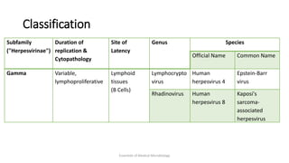 Classification
Subfamily
("Herpesvirinae")
Duration of
replication &
Cytopathology
Site of
Latency
Genus Species
Official Name Common Name
Gamma Variable,
lymphoproliferative
Lymphoid
tissues
(B Cells)
Lymphocrypto
virus
Human
herpesvirus 4
Epstein-Barr
virus
Rhadinovirus Human
herpesvirus 8
Kaposi's
sarcoma-
associated
herpesvirus
Essentials of Medical Microbiology
 