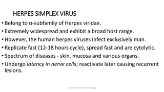 Herpes Viruses