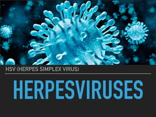HSV (HERPES SIMPLEX VIRUS)
HERPESVIRUSES
 