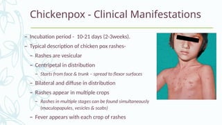 herpes viruses.pptx for medical students | PPTX