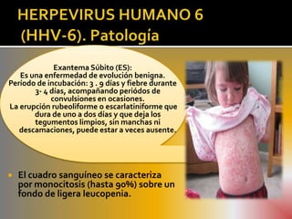 Exantema Súbito (ES):
   Es una enfermedad de evolución benigna.
Período de incubación: 3 . 9 días y fiebre durante
       3- 4 días, acompañando periódos de
            convulsiones en ocasiones.
La erupción rubeoliforme o escarlatiniforme que
       dura de uno a dos días y que deja los
       tegumentos limpios, sin manchas ni
   descamaciones, puede estar a veces ausente.




   El cuadro sanguíneo se caracteriza
    por monocitosis (hasta 90%) sobre un
    fondo de ligera leucopenia.
 