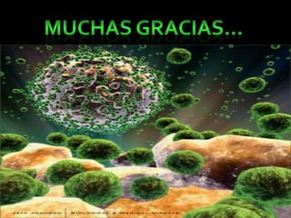 Herpesvirus humano 6, 7 y 82012