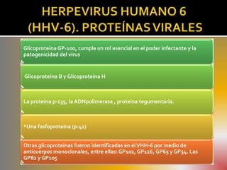 Glicoproteína GP-100, cumple un rol esencial en el poder infectante y la
patogenicidad del virus


Glicoproteína B y Glicoproteína H



La proteína p-135, la ADNpolimerasa , proteina tegumentaria.



*Una fosfoproteína (p-41)


Otras glicoproteínas fueron identificadas en el VHH-6 por medio de
anticuerpos monoclonales, entre ellas: GP102, GP116, GP65 y GP54. Las
GP82 y GP105
 
