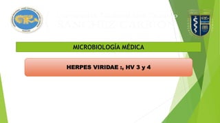 MICROBIOLOGÍA MÉDICA
HERPES VIRIDAE :, HV 3 y 4
 