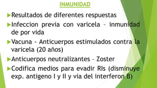 INMUNIDAD
Resultados de diferentes respuestas
Infeccion previa con varicela – inmunidad
de por vida
Vacuna - Anticuerpos estimulados contra la
varicela (20 años)
Anticuerpos neutralizantes – Zoster
Codifica medios para evadir RIs (disminuye
exp. antigeno I y II y via del interferon B)
 