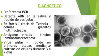 DIAGNOSTICO
Preferencia PCR
Detecta ADN en la saliva y
liquido de vesiculas
En frotis ( frotis de Tzanck) –
celulas gigantes
multinucleadas
Antigenos virales – tincion
inmunofluorescencia
Virus aislar – liquido en
primeras etapas mediante
cultivos de celulas durante 3 a
7 dias
 