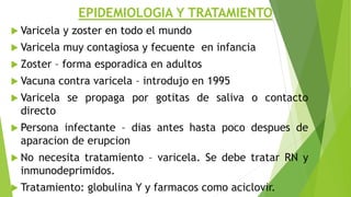 EPIDEMIOLOGIA Y TRATAMIENTO
 Varicela y zoster en todo el mundo
 Varicela muy contagiosa y fecuente en infancia
 Zoster – forma esporadica en adultos
 Vacuna contra varicela – introdujo en 1995
 Varicela se propaga por gotitas de saliva o contacto
directo
 Persona infectante – dias antes hasta poco despues de
aparacion de erupcion
 No necesita tratamiento – varicela. Se debe tratar RN y
inmunodeprimidos.
 Tratamiento: globulina Y y farmacos como aciclovir.
 