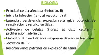 BIOLOGIA
 Principal celula afectada (linfocitos B)
 Inicia la infeccion ( une al receptor viral)
 Latencia : persistencia, expresion restringida, potencial de
reactivacion y restriccion litica.
 Activacion de celulas (ingreso al ciclo celular) –
proliferacion indefinida.
 Linfocitos B inmortalizados – expresan diferentes funciones
- Secrecion de IG
- Reconon varios patrones de expresion de genes
 