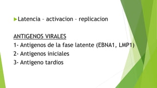 Latencia – activacion – replicacion
ANTIGENOS VIRALES
1- Antigenos de la fase latente (EBNA1, LMP1)
2- Antigenos iniciales
3- Antigeno tardios
 