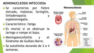 MONONUCLEOSIS INFECCIOSA
 Se caracteriza por fiebre
elevada, malestar, faringitis,
linfadenopatía y
esplenomegalia.
 Característico: fatiga
 Es mortal si se obstruye la
laringe o rompe el bazo.
 Meningoencefalitis y el
Síndrome de Guillan-Barre.
 Se autolimita durando de 2 a 4
semanas.
 