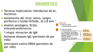 DIAGNOSTICO
 Tecnicas moleculares: hibridacion de Ac.
Nucleicos
 Aislamiento del virus: saliva, sangre
periferica o tejido linfoide. (6 a 8 sem.)
 Analisis serologico: ELISA,
Inmunotransferencia:
- 1 etapa: elevacion de IgM
- Semanas despues IgG (persisten de por
vida)
- Anticupero contra EBNA (persisten de
por vida)
 