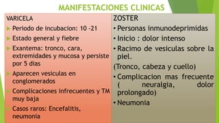MANIFESTACIONES CLINICAS
VARICELA
 Periodo de incubacion: 10 -21
 Estado general y fiebre
 Exantema: tronco, cara,
extremidades y mucosa y persiste
por 5 dias
 Aparecen vesiculas en
conglomerados
 Complicaciones infrecuentes y TM
muy baja
 Casos raros: Encefalitis,
neumonia
ZOSTER
• Personas inmunodeprimidas
• Inicio : dolor intenso
• Racimo de vesiculas sobre la
piel.
(Tronco, cabeza y cuello)
• Complicacion mas frecuente
( neuralgia, dolor
prolongado)
• Neumonia
 