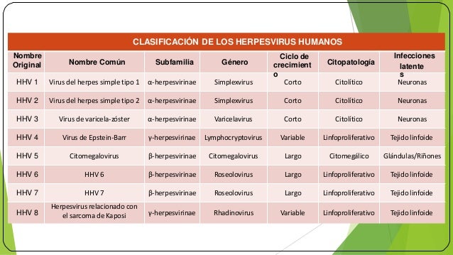 Anticorpi anti - Herpes simplex tipo 1 e tipo 2 (HSV-1 e ...