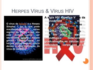 HERPES VÍRUS & VÍRUS HIV
                                 A sigla HIV significa Vírus da
                                 Imunodeficiência      Humana,
O vírus da herpes é o Herpes     que é o vírus que causa
Simplex 1 ou 2, que pode
                                 a AIDS. O vírus em si não
manifestar-se    em     várias
regiões do corpo, e por isto     constitui causa de morte,
esta     doença    pode    ser   mas ele ataca o sistema
identificada como herpes         imunológico      deteriorando
genital, herpes labial, ou       gradualmente as células que
herpes zoster, quando ocorre
devido a uma reativação do       defendem o corpo contra as
vírus da catapora.               doenças.
 