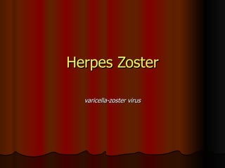 Herpes Zoster varicella-zoster virus 