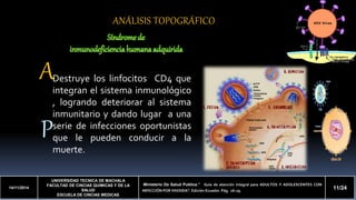A 
P 
14/11/2014 
UNIVERSIDAD TECNICA DE MACHALA 
FACULTAD DE CINCIAS QUIMICAS Y DE LA 
SALUD 
ESCUELA DE CINCIAS MEDICAS 
-Ministerio De Salud Publica.” Guía de atención integral para ADULTOS Y ADOLESCENTES CON 
INFECCIÓN POR VIH/SIDA”. Edición-Ecuador. Pág. 26-29. 
11/24 
ANÁLISIS TOPOGRÁFICO 
Destruye los linfocitos CD4 que 
integran el sistema inmunológico 
, logrando deteriorar al sistema 
inmunitario y dando lugar a una 
serie de infecciones oportunistas 
que le pueden conducir a la 
muerte. 
 