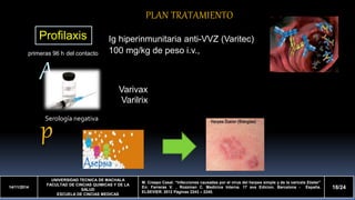 A 
p 
14/11/2014 
UNIVERSIDAD TECNICA DE MACHALA 
FACULTAD DE CINCIAS QUIMICAS Y DE LA 
SALUD 
ESCUELA DE CINCIAS MEDICAS 
M. Crespo Casal. “Infecciones causadas por el virus del herpes simple y de la varicela Zóster” 
En: Farreras V. , Rozzman C. Medicina Interna. 17 ava Edicion. Barcelona - España. 
ELSEVIER. 2012 Páginas 2243 – 2245. 
18/24 
PLAN TRATAMIENTO 
Profilaxis Ig hiperinmunitaria anti-VVZ (Varitec) 
100 mg/kg de peso i.v., 
Varivax 
Varilrix 
primeras 96 h del contacto 
Serología negativa 
 