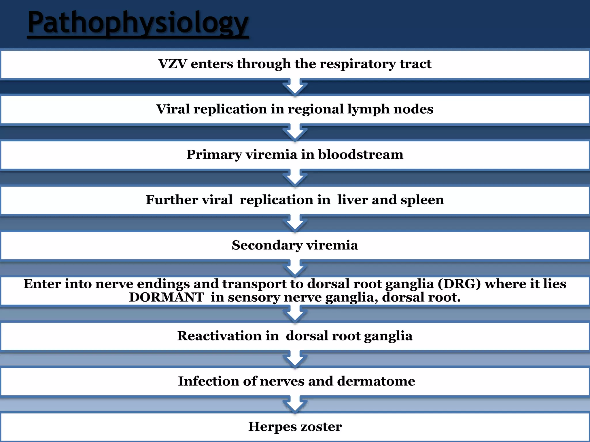 herpes-zoster-pptx