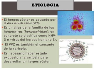 ETIOLOGIA


 El herpes zóster es causado por
 el virus varicela zóster (VVZ).
 Es un virus de la familia de los
  herpesvirus (herpesviridae); en
  concreto se clasifica como HHV-
  3 o «virus del herpes humano 3».
 El VVZ es también el causante
  de la varicela.
 Es necesario haber estado
  expuesto a la varicela para
  desarrollar un herpes zóster.
 