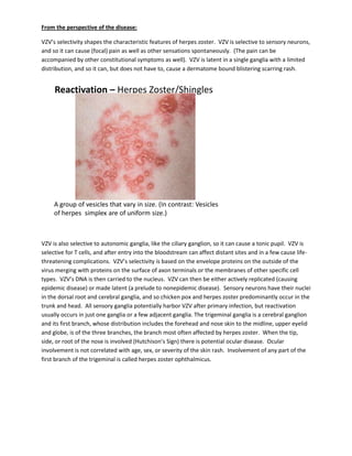 From the perspective of the disease:
VZV’s selectivity shapes the characteristic features of herpes zoster. VZV is selective to sensory neurons,
and so it can cause (focal) pain as well as other sensations spontaneously. (The pain can be
accompanied by other constitutional symptoms as well). VZV is latent in a single ganglia with a limited
distribution, and so it can, but does not have to, cause a dermatome bound blistering scarring rash.
Reactivation – Herpes Zoster/Shingles
A group of vesicles that vary in size. (In contrast: Vesicles
of herpes simplex are of uniform size.)
VZV is also selective to autonomic ganglia, like the ciliary ganglion, so it can cause a tonic pupil. VZV is
selective for T cells, and after entry into the bloodstream can affect distant sites and in a few cause life-
threatening complications. VZV’s selectivity is based on the envelope proteins on the outside of the
virus merging with proteins on the surface of axon terminals or the membranes of other specific cell
types. VZV’s DNA is then carried to the nucleus. VZV can then be either actively replicated (causing
epidemic disease) or made latent (a prelude to nonepidemic disease). Sensory neurons have their nuclei
in the dorsal root and cerebral ganglia, and so chicken pox and herpes zoster predominantly occur in the
trunk and head. All sensory ganglia potentially harbor VZV after primary infection, but reactivation
usually occurs in just one ganglia or a few adjacent ganglia. The trigeminal ganglia is a cerebral ganglion
and its first branch, whose distribution includes the forehead and nose skin to the midline, upper eyelid
and globe, is of the three branches, the branch most often affected by herpes zoster. When the tip,
side, or root of the nose is involved (Hutchison’s Sign) there is potential ocular disease. Ocular
involvement is not correlated with age, sex, or severity of the skin rash. Involvement of any part of the
first branch of the trigeminal is called herpes zoster ophthalmicus.
 