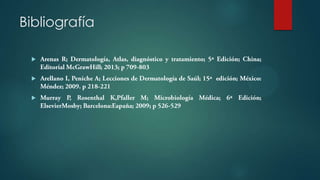 Bibliografía



 