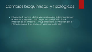 Cambios bioquímicos y fisiológicos
 Inhalación mucosa de las vías respiratorias  diseminación por
el torrente sanguíneo hasta llegar ala piel (10-13 días)
Infección de los linfocitos T  superación de la inhibición por el
interferón gama  se producen vesículas en la piel
 