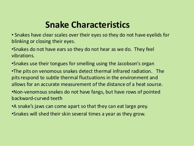 herpetology herpetology