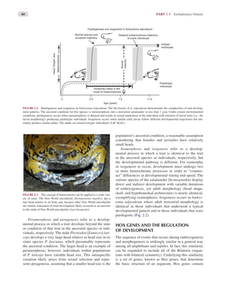 Herpetology. An Introductory Biology of Amphibians and Reptiles ...