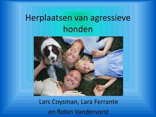 Herplaatsen van agressieve honden Lars Coysman, Lara Ferrante en Robin Vandervorst 