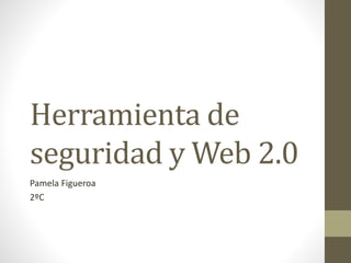 Herramienta de
seguridad y Web 2.0
Pamela Figueroa
2ºC
 