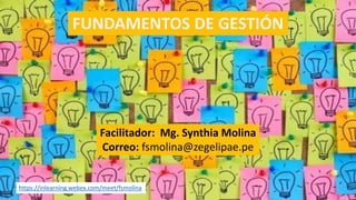 FUNDAMENTOS DE GESTIÓN
Facilitador: Mg. Synthia Molina
Correo: fsmolina@zegelipae.pe
https://inlearning.webex.com/meet/fsmolina
 