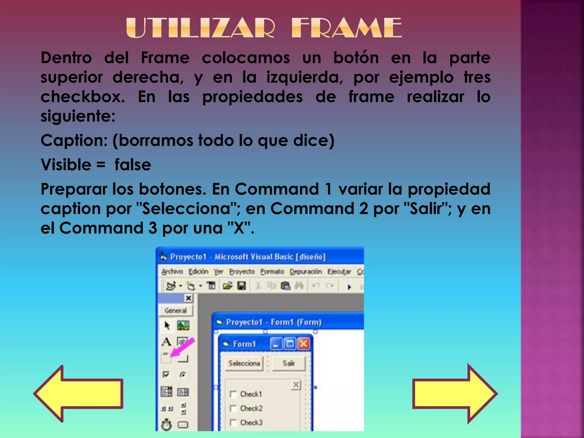 Dentro del Frame colocamos un botón en la parte
superior derecha, y en la izquierda, por ejemplo tres
checkbox. En las propiedades de frame realizar lo
siguiente:
Caption: (borramos todo lo que dice)
Visible = false
Preparar los botones. En Command 1 variar la propiedad
caption por "Selecciona"; en Command 2 por "Salir"; y en
el Command 3 por una "X".