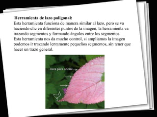 Herramienta de lazo poligonal:
Esta herramienta funciona de manera similar al lazo, pero se va
haciendo clic en diferentes puntos de la imagen, la herramienta va
trazando segmentos y formando ángulos entre los segmentos.
Esta herramienta nos da mucho control, si ampliamos la imagen
podemos ir trazando lentamente pequeños segmentos, sin tener que
hacer un trazo general.
 