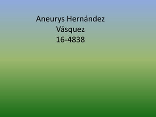 Aneurys Hernández
Vásquez
16-4838
 