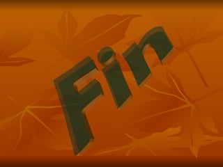Fin 