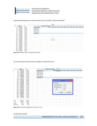 HERRAMIENTAS DE EXCEL PARA ESTADÍSTICA 109
Vicerrectoría Académica
Facultad de Ingeniería y Administración
Departamento de Matemática y Física
Automáticamente genera cuatro intervalos para la variable “variación del dólar”
Figura 134. Variable “dólar” modificada a intervalos.
Los mismos pasos haremos para la variable “variación del euro”
Figura 135. Ventana de modificación de columna “euro”.
La tabla ahora queda
 