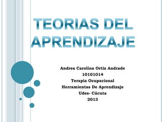 Andrea Carolina Ortiz Andrade
         10101014
    Terapia Ocupacional
Herramientas De Aprendizaje
        Udes- Cúcuta
            2013
 