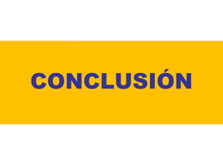 CONCLUSIÓN

 