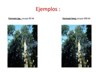 Ejemplos :
Formato bmp: ocupa 698 kbFormato jpg : ocupa 83 kb
 