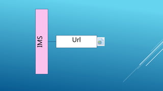 IMS Url
 